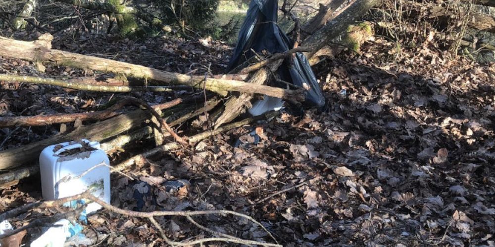 Vermehrte Entsorgung von Abfall in den Wäldern