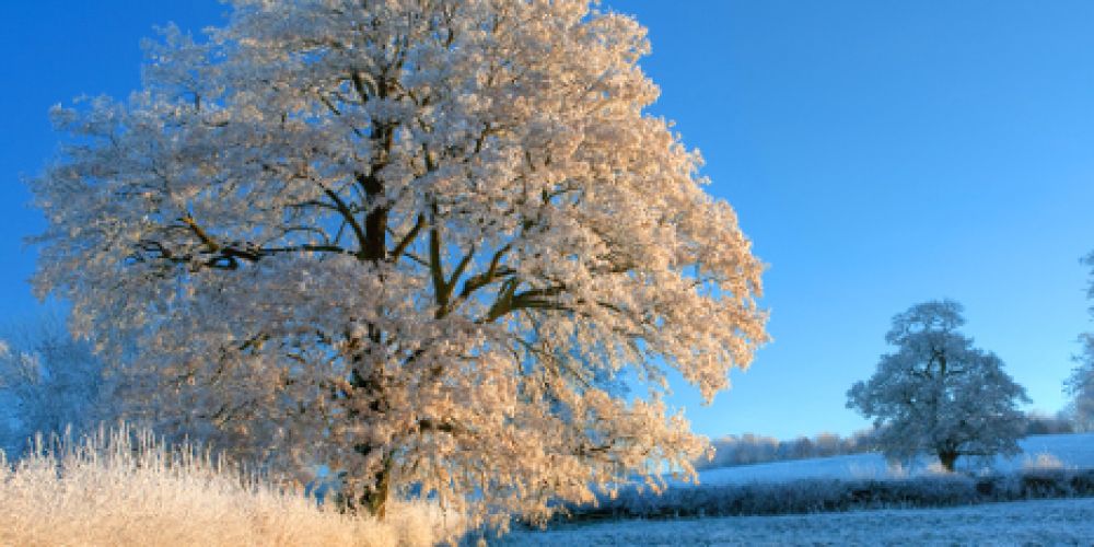 Eisiges Winterwetter kommt