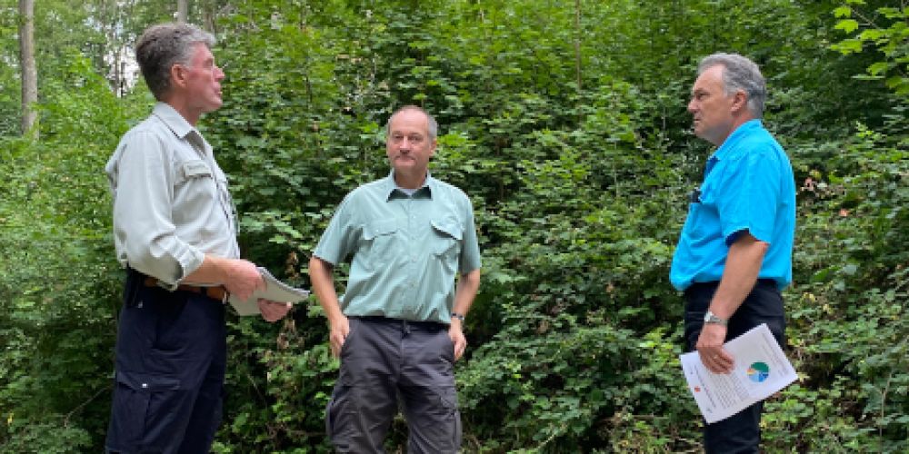 Geschwindigkeit des Klimawandels bringt FörsterInnen an ihre Grenzen