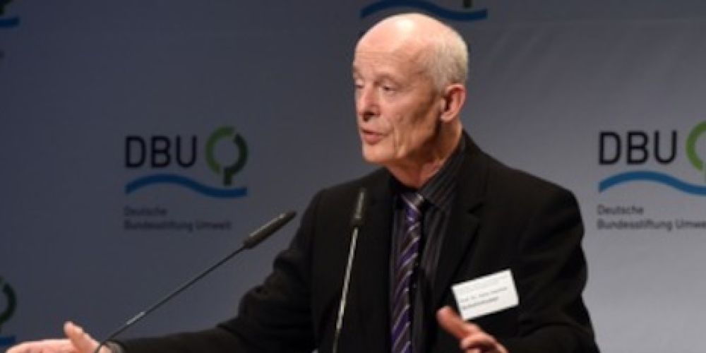 DBU: Holz als Hoffnungsträger für mehr Klimaschutz