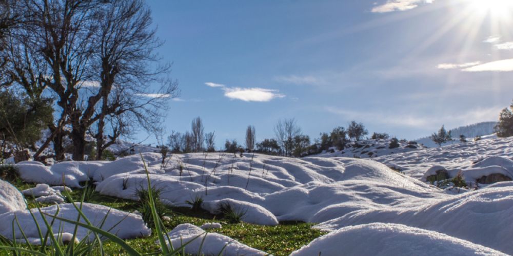 Tage werden jetzt wieder spürbar länger