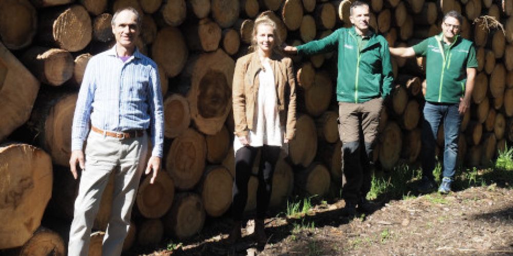 Die Waldgenossenschaft Südschwarzwald leistet erfolgreiche Arbeit in schwierigem Umfeld