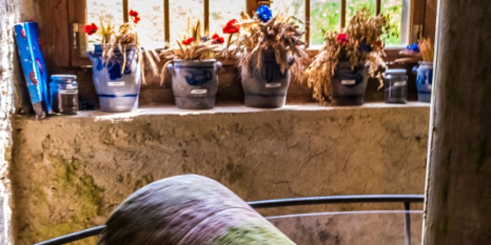 Tag des offenen Denkmals