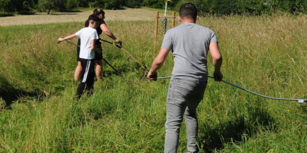 Naturschutzaktion der Kooperationsklassen aus Lörrach beim Naturheilverein