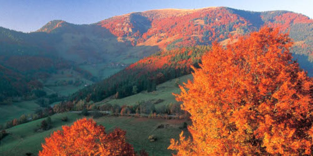 Multivisionsvortrag über den Schwarzwald in Steinen