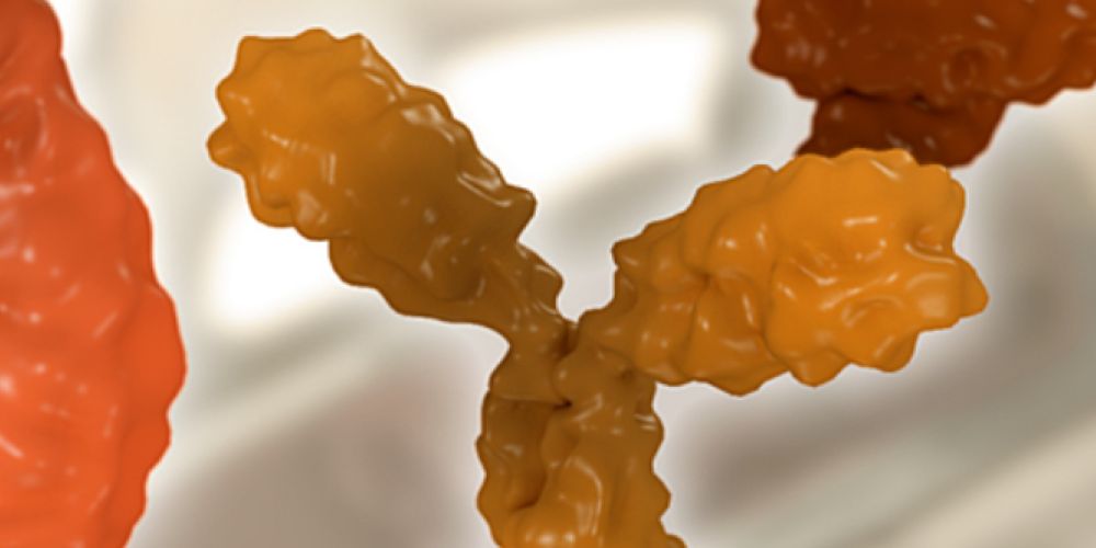 AMSEL-Wissensseite „MS behandeln“: Alle Therapien der Multiplen Sklerose (MS) auf einen Blick