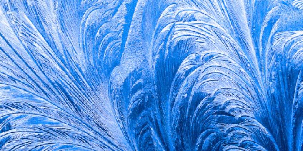 Kunstwerke der Kälte: Eisblumen