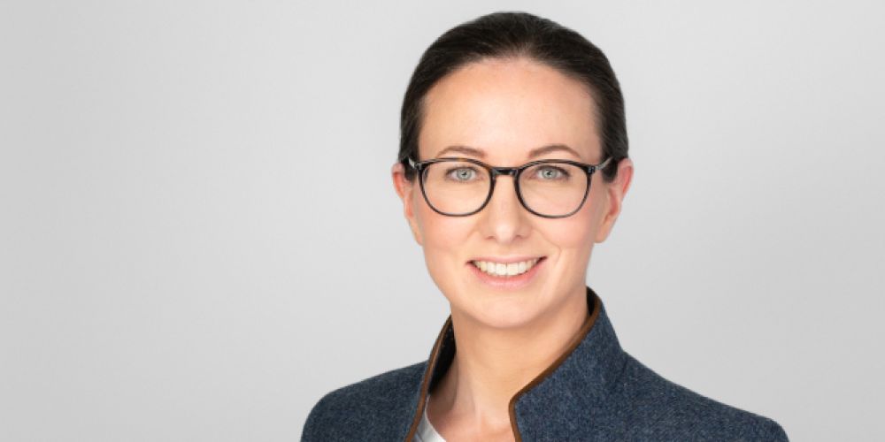 Die großmaßstäbliche Holzverbrennung aus ein Irrweg