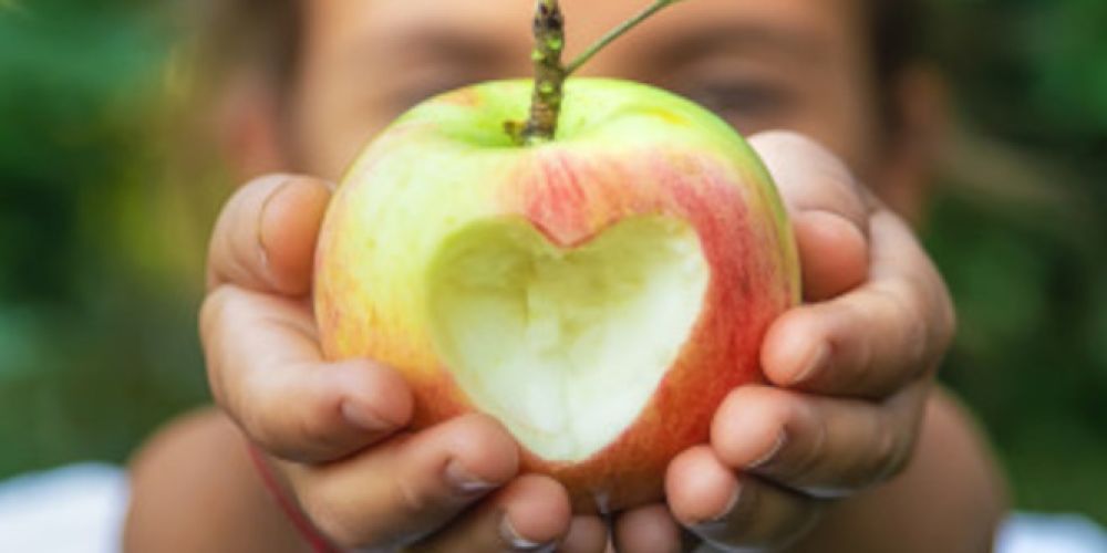 Äpfel: Runde, bunte und kerngesunde Stars im Obstregal