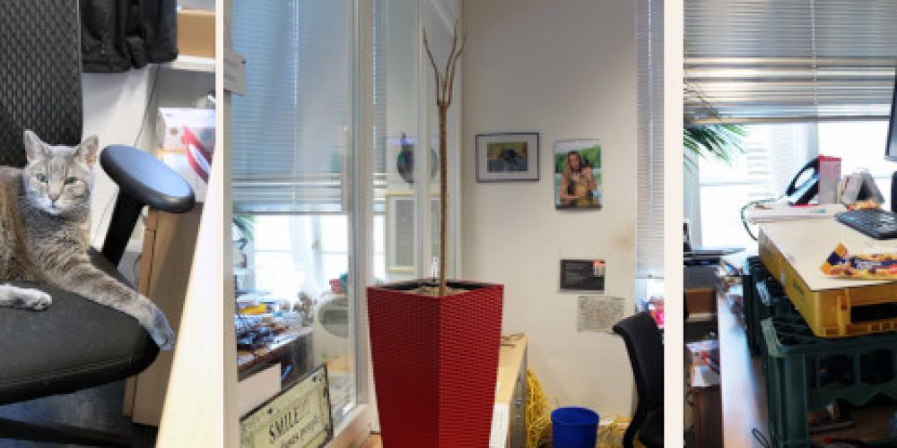 Es muss nicht immer Champagner sein.