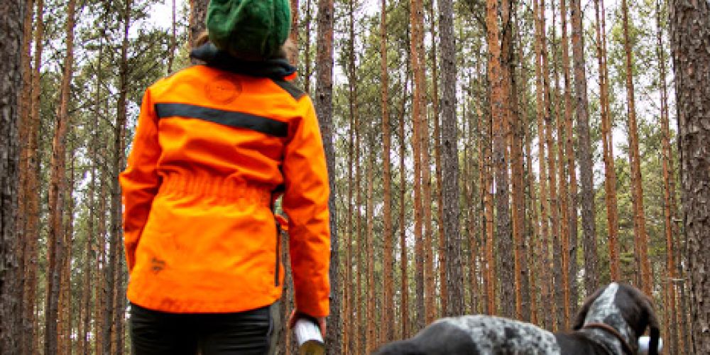 Klimageschädigter Wald: Mehr Forstpersonal im Kreis Konstanz gefordert