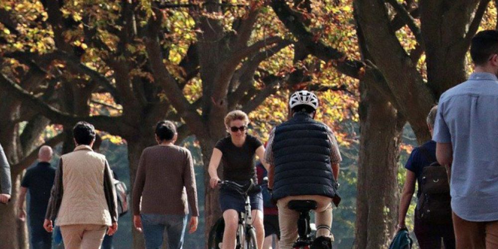 „Körperliche Aktivität bei Krebs – Chancen und Risiken“