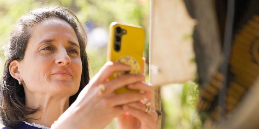 Wie eine neue App Wildbienen in Städten sichtbar macht