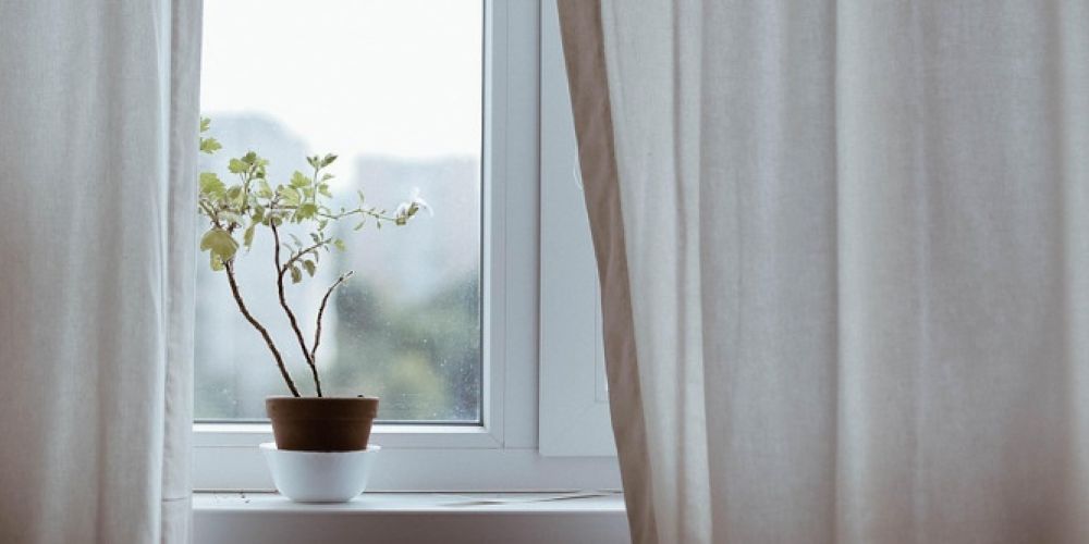 Fensterflüsterer: Expertentipps zur Auswahl der richtigen Fensterdekoration