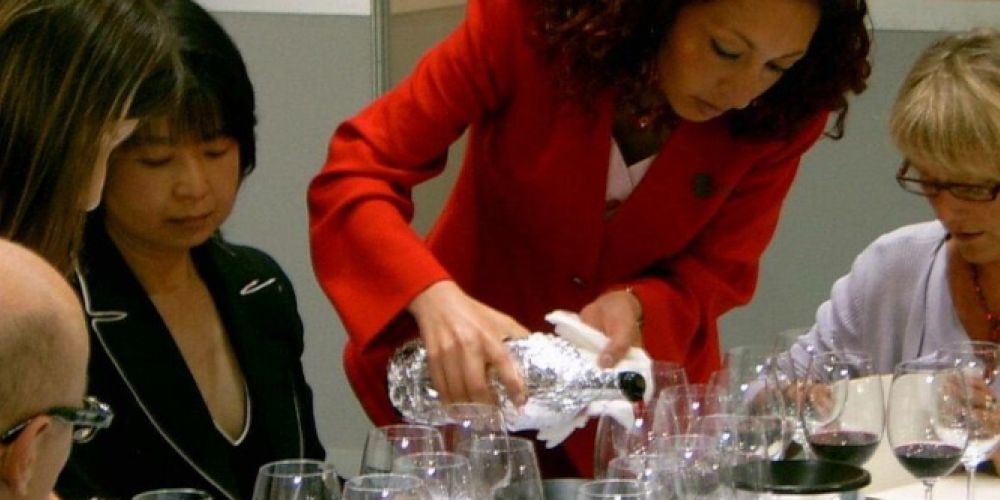 Wie geht es weiter mit dem Weinbau?