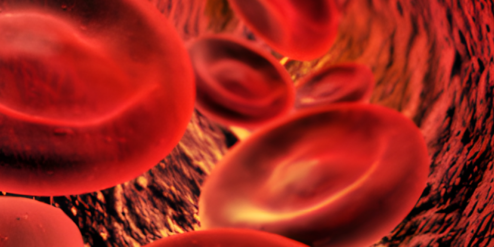 Blut ist Leben
