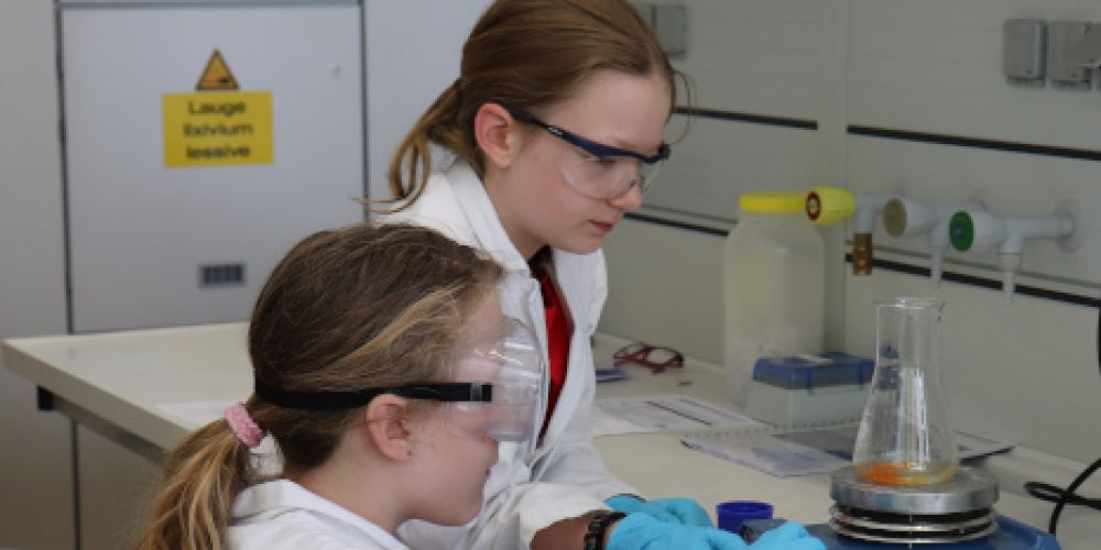 Das phaenovum öffnet wieder - Sommerferienkursprogramm 2020