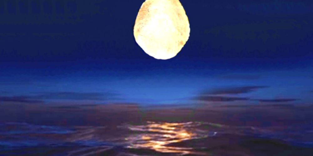 Fridolin ist Thema in der Villa Berberich