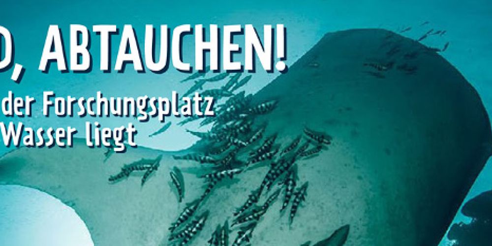 Abtauchen mit „forscher ahoi!“