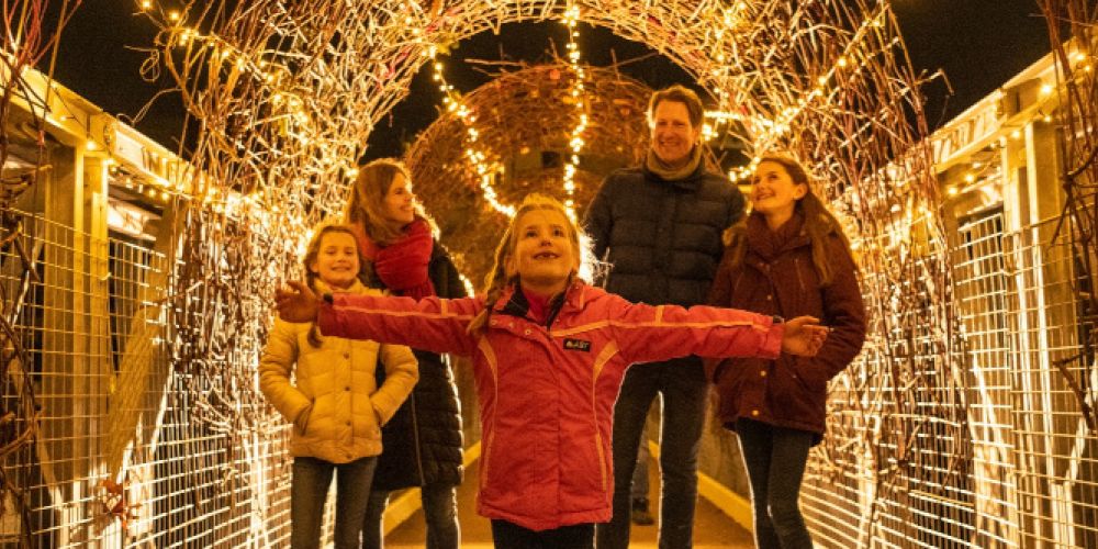 Das Ahrtal leuchtet wieder: Glänzende Winterwelt bei den Uferlichtern