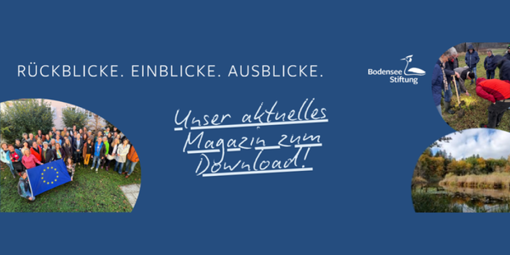 Webinar zur Klimaanpassung von Sozialunternehmen