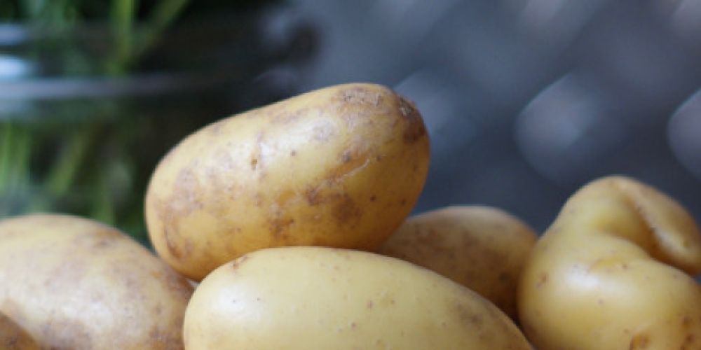 Kartoffel: Allround-Talent für die vegetarische Küche