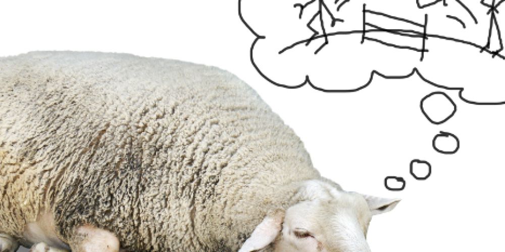 gut gemeint – doch mittlerweile sehr umstritten. Naht das Ende der Sommerzeit?