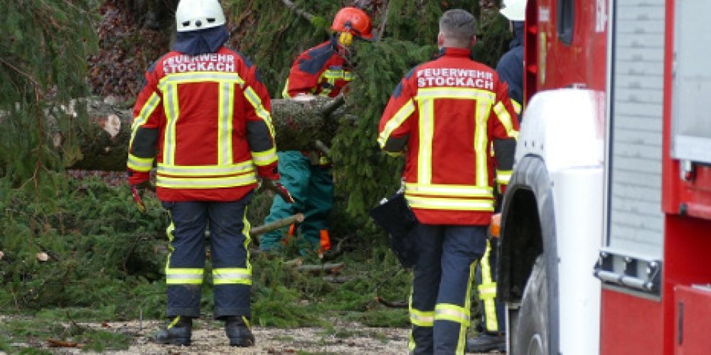 Unwetter Burglind - Vorgefundene Lage am Bodensee