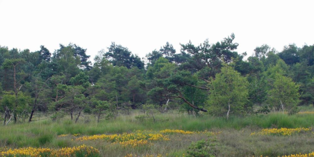 Sorge um Artenvielfalt: Was Kunming mit dem Naturerbe verbindet