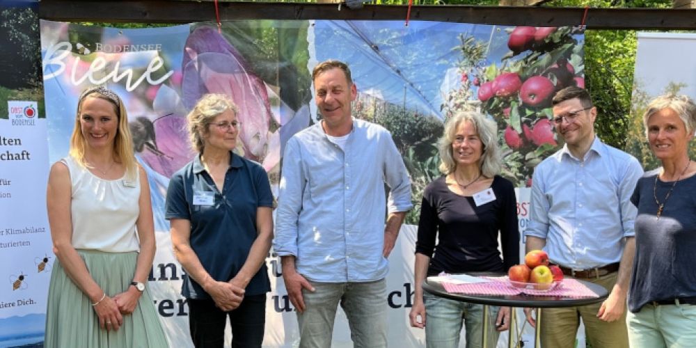 Wildbienenbestand in Obstanlagen am Bodensee stabilisiert sich auf hohem Niveau