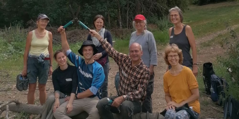 Auf der Spur des Drüsigen Springkrauts