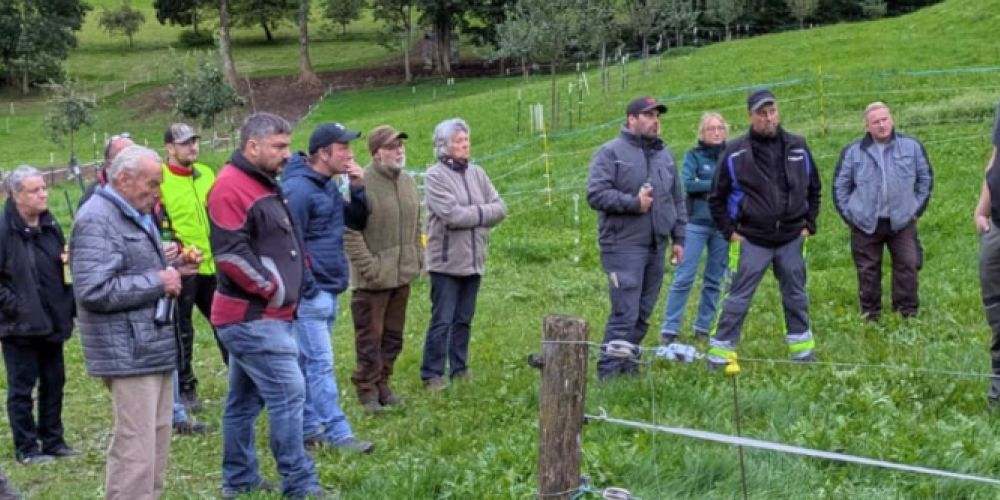 Praxisnaher Austausch direkt auf der Weide zu modernem Zaunbau, Herdenschutz und Wolfsmonitoring