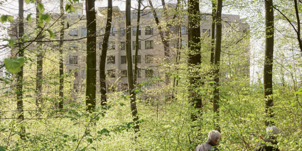 «Auf dem hellen Hügel»