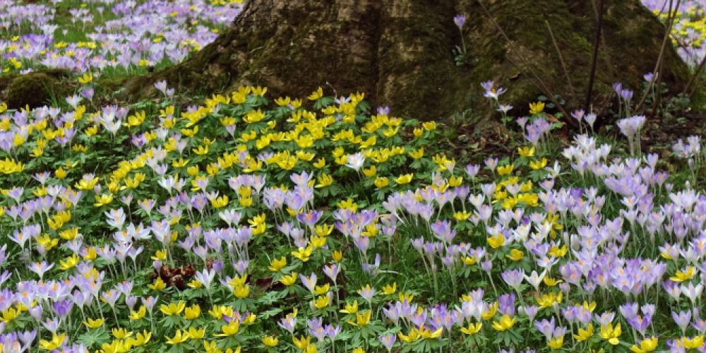 Der Winter meldet sich zurück