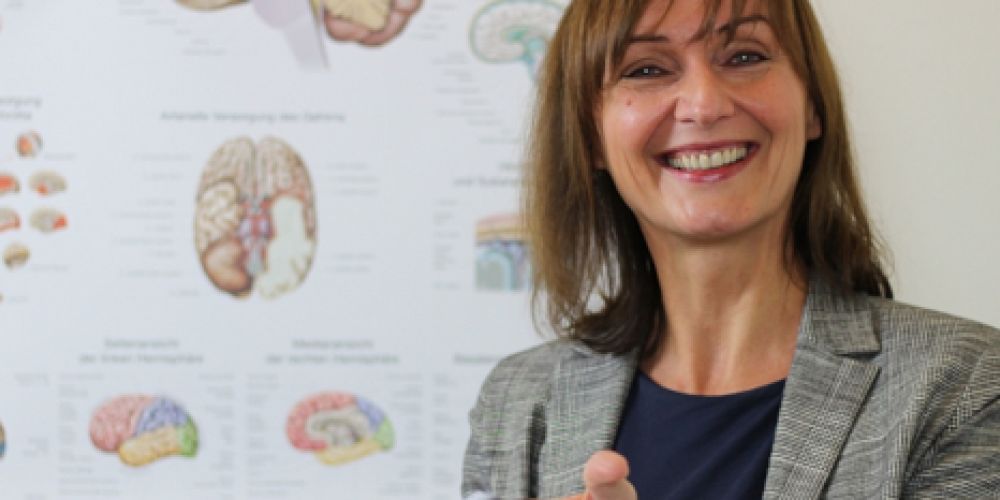 Eine Liebeserklärung an das Hirn – Weiterentwicklung ist nichts für Faule