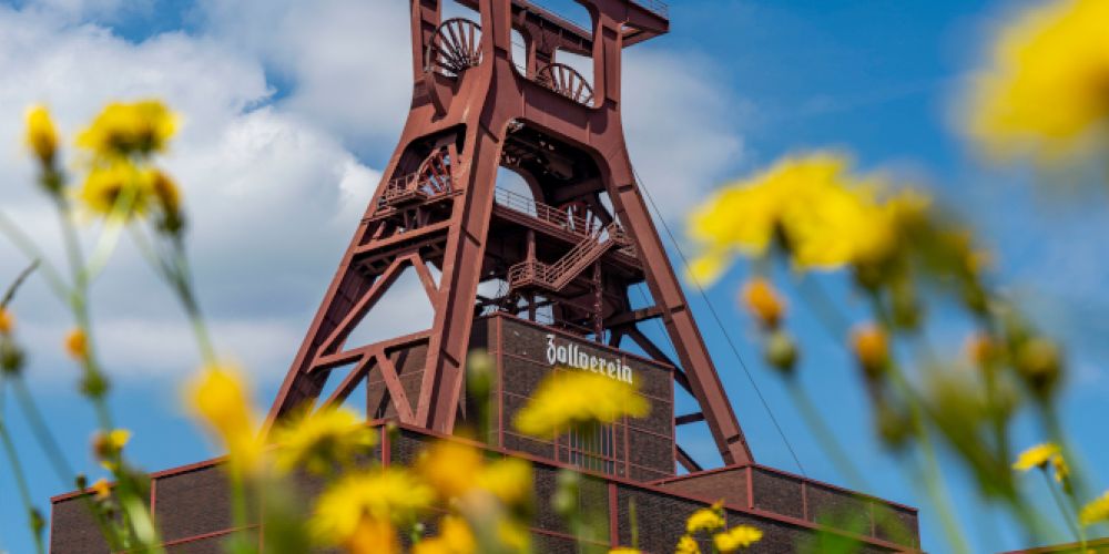 „denk mal Zukunft“ – Nachhaltigkeitstage auf Zollverein