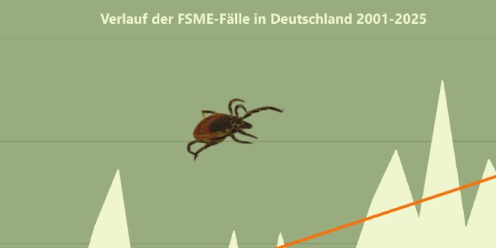 25 Jahre Zecken-Statistik zeigt Trends und wachsende Gefahr, betonen Expert:innen auf Pressekonferenz der Universität Hohenheim / Zeckenkongress startet am 23.2.2026