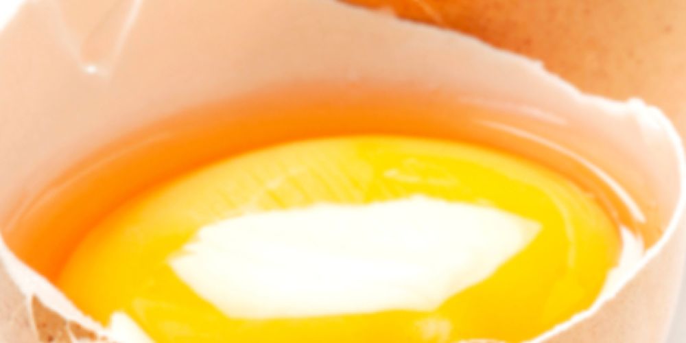 Propionat: Natürlicher "Schutzschild" gegen Salmonellen