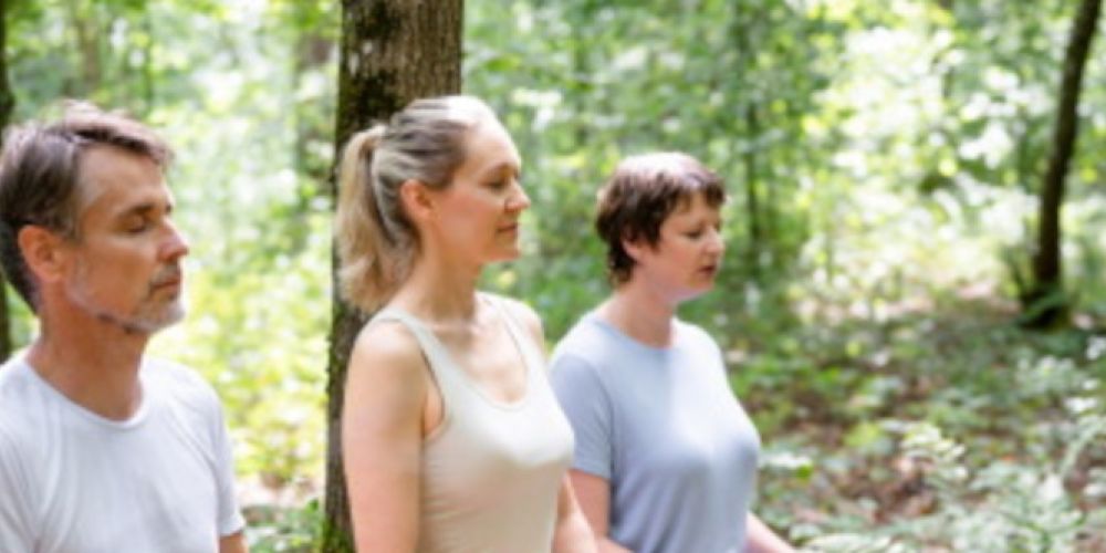 Der "Gesundheitsspender" Wald im Fokus