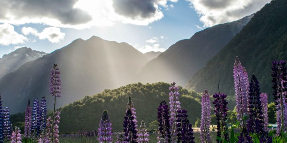 Optimale Reisezeiten und Abenteuer in Neuseeland