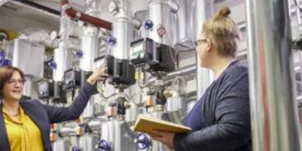 Erneuerbar gespeistes Wärmenetz errichtet: Contractingprojekt in Rekordzeit fertiggestellt