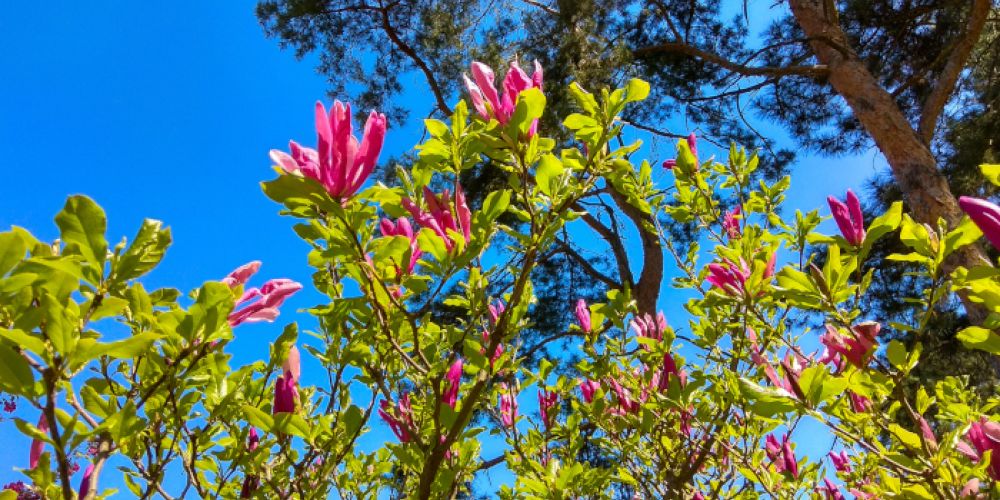Luft so sauber wie lange nicht