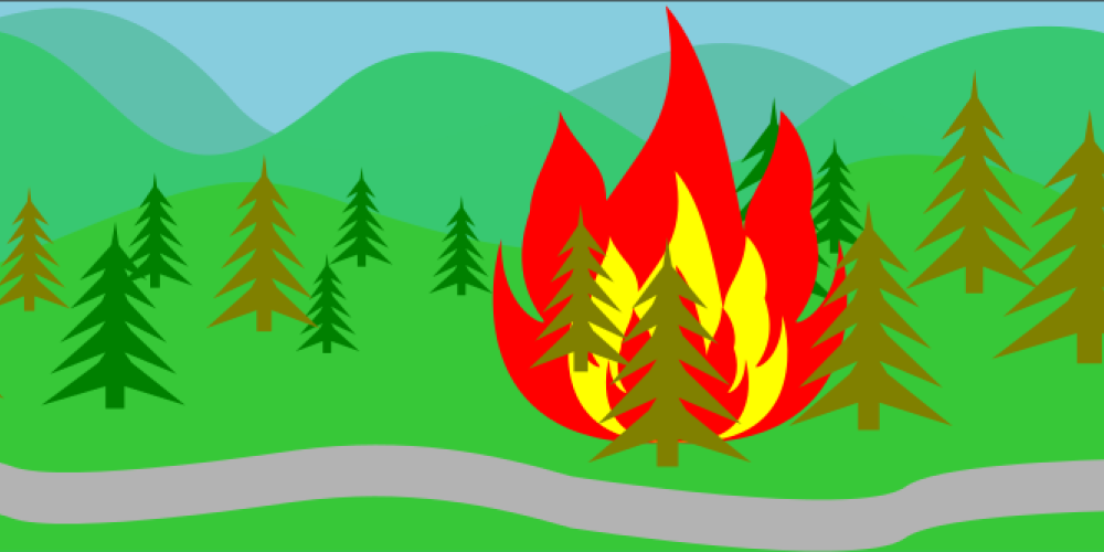 Waldbrandgefahr im Landkreis wegen anhaltender Trockenheit
