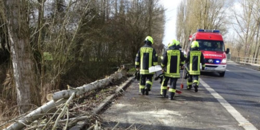 Sturmtief "Sabine" sorgt für Unwettereinsätze