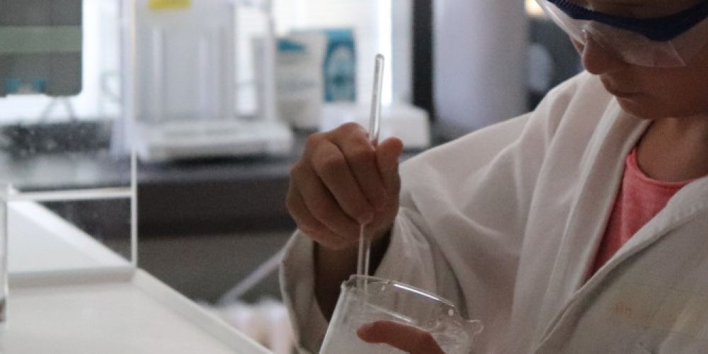 phaenovum-Kursprogramm 2020/2021 ist da