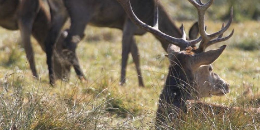 Veranstaltungshighlights im Oktober 2019