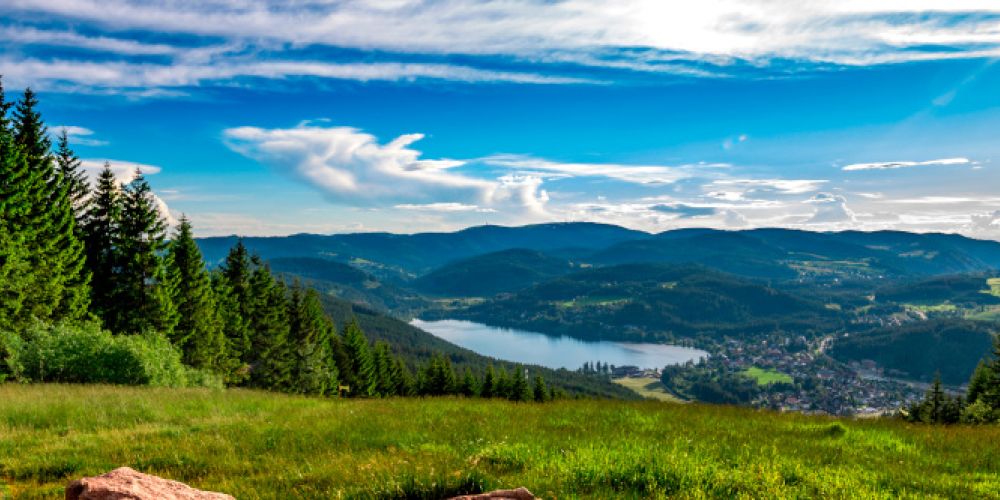 Lesen auf dem Berg: Preisgekrönte Autor:innen bei den Literaturtagen Todtnauberg