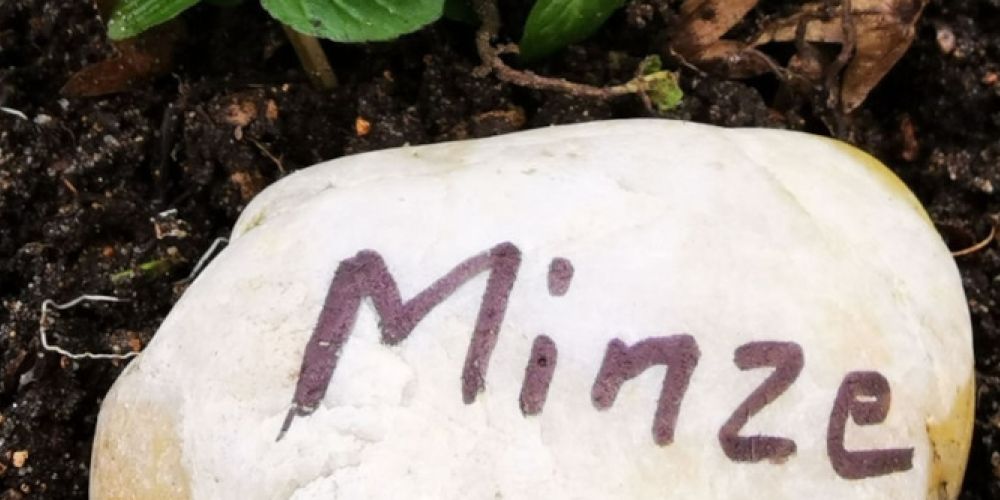 Mit guten Gartenvorsätzen ins neue Jahr