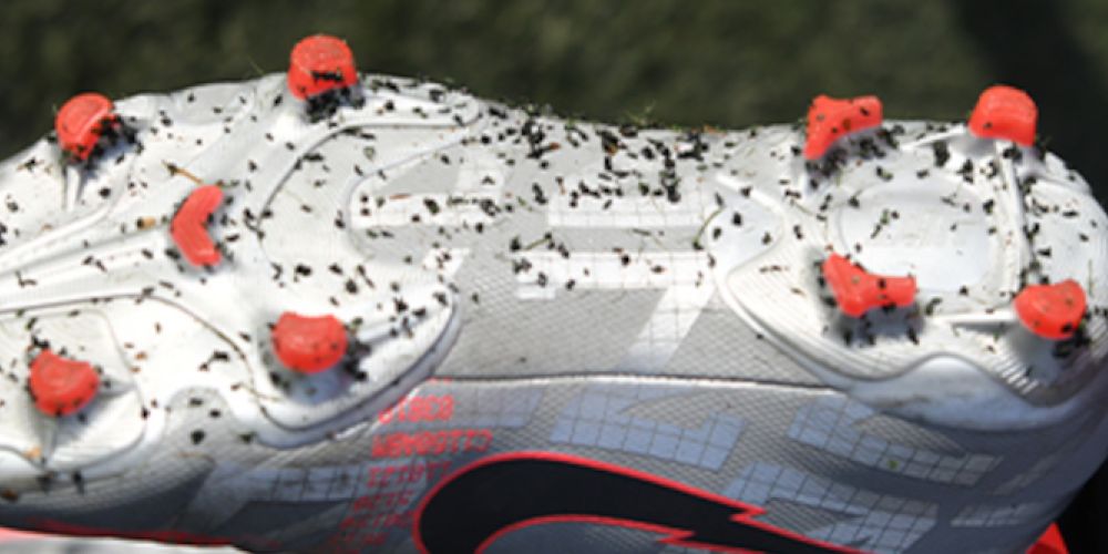 Großes Interesse an Fachtagung zu Mikroplastik in Kunststoffrasenplätzen und Reitplätzen