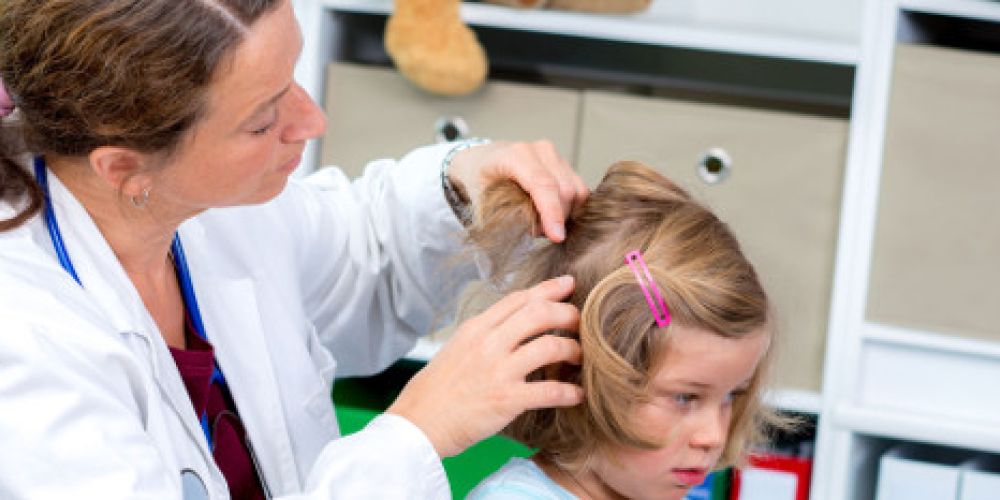 Herbst und Winter: Hochsaison für Kopfläuse